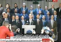 نواب مصر من تركيا: برلمان العسكر ساقط لأنه ولد "سفاحا"