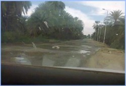 طريق أسوان الزراعي تأشيرة مجانية لحوادث الموت