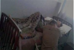 "أمين شرطة" يُطلق النار على عامل محارة والسبب "صباح الفل ياباشا"