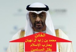 نائب كويتي: عجزنا عن فهم كره بن زايد للإسلام السني (فيديو)