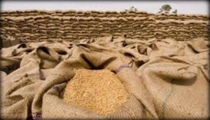 خبير اقتصادي: حكومة الانقلاب تتجه لاستيراد قمح غير صالح للاستهلاك الادمي