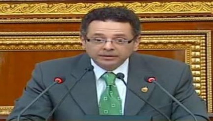 نافع: البرلمان المصري في تركيا هو المعترف به دوليا