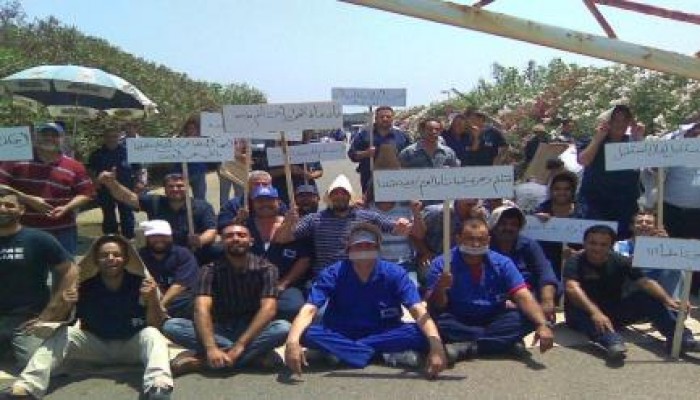 فنكوش القناة : خبراء يصفون إشراف "البنك الدولي" عليه بالكارثة .. والعمال يعتصمون