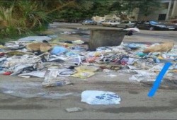 بالصور .. القمامة والصرف الصحي يدمران السياحة بأسوان.. والانقلاب يتجاهل