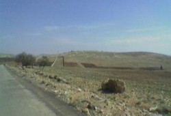 إهمال زراعة الانقلاب يؤدي إلى استيلاء "مافيا الاراضي" على 50 ألف فدان