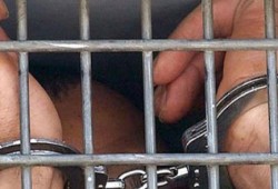 ميليشيات الانقلاب تعتقل 6 طلاب بأبوتيج في حملة مسعورة