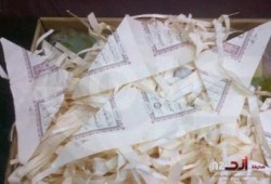 السعودية : مانجو مستورد من مصر مغلف بقصاصات من "القرآن الكريم"