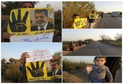 البحيرة: سلسلة لتحالف الشرعية بإيتاي البارود لإسقاط الانقلاب