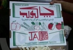 مسؤول بشركة "جاكوب" يرد على ما نشر بخصوص تغليف المانجو بقصاصات من القرأن الكريم