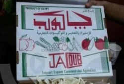 مسؤول بشركة "جاكوب" يرد على ما نشر بخصوص تغليف المانجو بقصاصات من القرأن الكريم