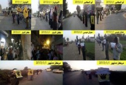 "ثوار البحيرة" يختتمون فعاليات أسبوع "مكملين.. والله مولانا"