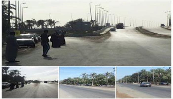 البحيرة: ضمن فاعليات أسبوع "معاً للتحرير والتطهير".. سلسلة بشرية بالطريق الدولى بادكو