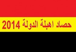نشطاء يتداولون " حصاد اهبلة الدولة 2014 " في عهد الانقلاب