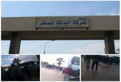 بالصور .. وقفه احتجاجيه للعمال داخل شركة الدلتا للسكر بالحامول
