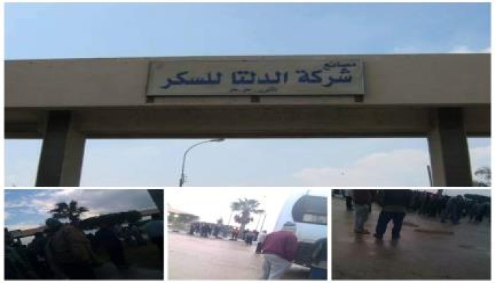بالصور .. وقفه احتجاجيه للعمال داخل شركة الدلتا للسكر بالحامول