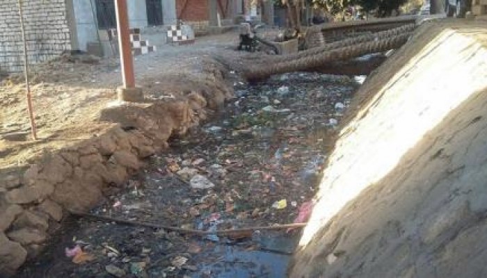 بنى سويف : بالصور تفشي الأمراض والأوبئة بقرية ملاحية سعيد جعفر بسب تلوث الترع بالنفايات