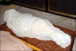 الجيزة : وفاة طفل مصاب بـ«إنفلونزا الطيور»