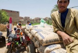 رغم تخفيضات شركات الحديد .. مصر الأغلى عالمياً في أسعار الحديد والإسمنت