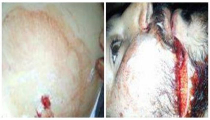 بالصور .. بلطجية  تابعون لميلشيات الأمن بدمياط يعتدون على أحد  مؤيدى الشرعية بالبصارطه