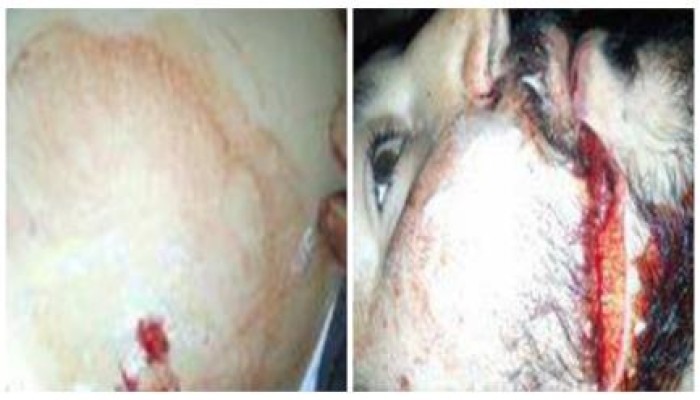بالصور .. بلطجية  تابعون لميلشيات الأمن بدمياط يعتدون على أحد  مؤيدى الشرعية بالبصارطه