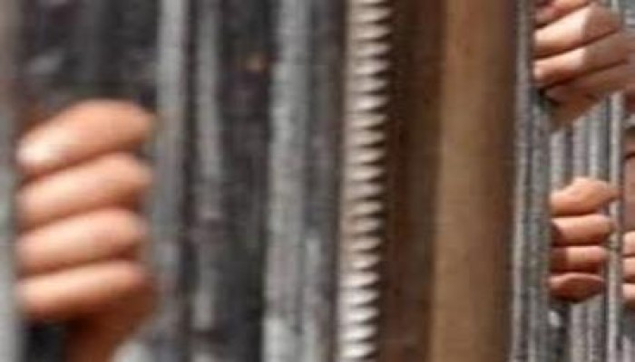 نيابة الانقلاب بدمياط تقرر حبس نجل النائب البرلمانى محمد الفلاحجى 15يوم