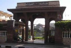 "الصيادلة الحكوميين" تطالب بإقالة وزير "صحة الانقلاب"