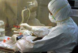 حملات التحصين المتأخرة تفشل في صد انفلونزا الطيور بالفيوم