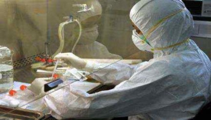 حملات التحصين المتأخرة تفشل في صد انفلونزا الطيور بالفيوم