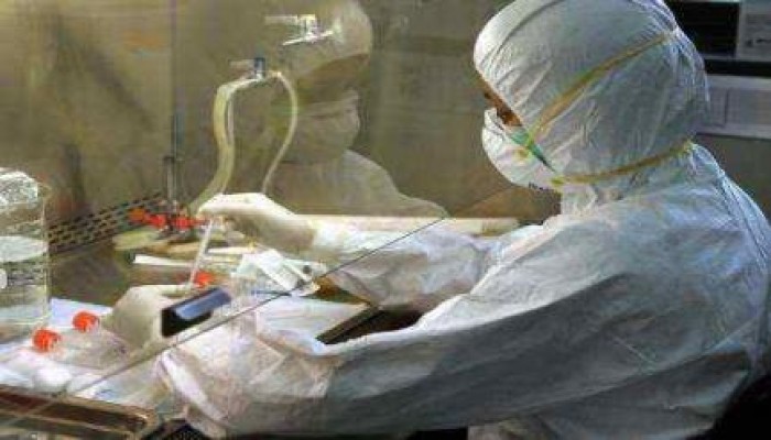 حملات التحصين المتأخرة تفشل في صد انفلونزا الطيور بالفيوم