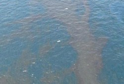 للمرة الثانية في أقل من أسبوع..بقعة سولار تتسرب إلى النيل وانقطاع المياه عن مناطق بالأقصر