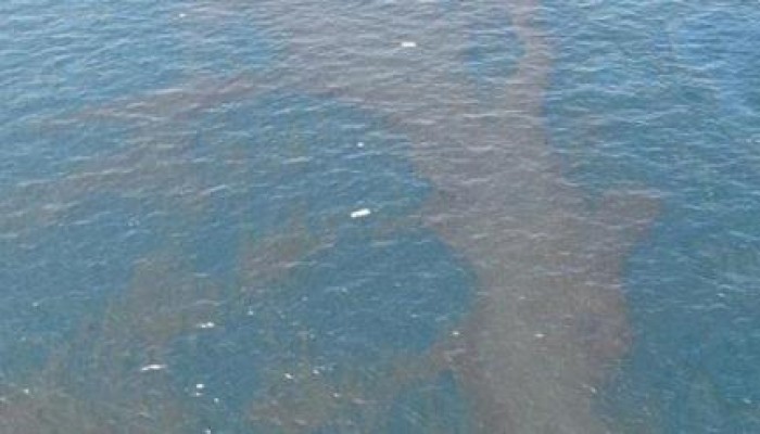 للمرة الثانية في أقل من أسبوع..بقعة سولار تتسرب إلى النيل وانقطاع المياه عن مناطق بالأقصر