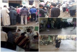بالصور.. الطوابير والفوضى أولى نتائج منظومة الخبز الجديدة بالبحيرة