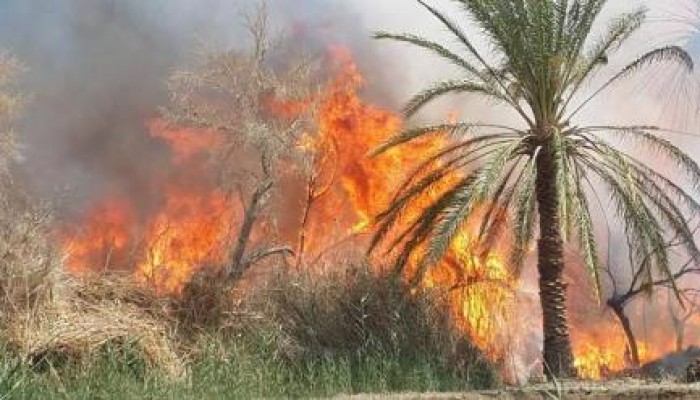 مجهولون يحرقون محولين كهرباء ومزرعة مواشي مملوكة لغفير نظامي بالشرطة في بني سويف