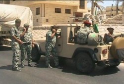 باسم مكافحة الإرهاب مذبحة ترتكب في سيناء بحق البشر والشجر والحجر