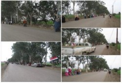 الغربية: سلسلة بشرية بقرية ميت حواي تؤكد على استمرار الثورة حتى إسقاط الانقلاب