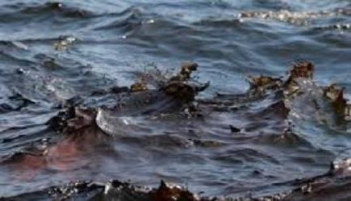 الاهمال مستمر .. تلوث بترولي يضرب ساحل البحر الاحمر