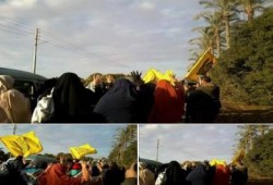 الاسماعيلية: سلسلة بشرية ومسيرة بمنطقة فايد ضمن فعاليات جمعة تقدموا للحرية والكرامة