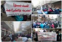 الغربية: ثوار المحلة الكبرى ينظمون مسيرة رافضة لحكم العسكر