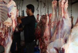 كارثة.. الحكومة تستورد لحوم «مسرطنة».. ومسئول يستقيل احتجاجًا