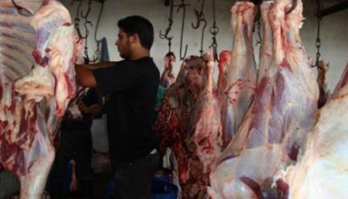 كارثة.. الحكومة تستورد لحوم «مسرطنة».. ومسئول يستقيل احتجاجًا