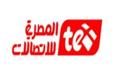 "المصرية للاتصالات" تخسر10.7 مليار جنيه بقضية الترابط ضد فودافون