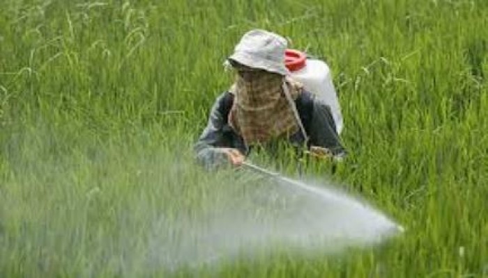 بنى سويف.. المبيدات الحشرية تحرم 6 قرى من المياه النقية