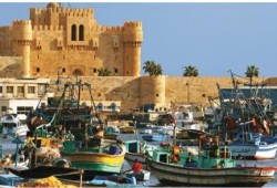 تفجيران في الإسكندرية وأنباء عن مقتل عنصري أمن