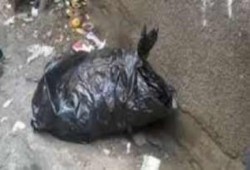 الرعب يصيب الانقلاب: علبة بلاستيكية تسبب في إيقاف حركة القطارات بالأقصر