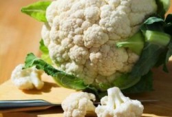 تعرف على أقوى قاتل للسرطان