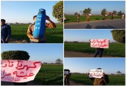 الغربية: سلسلة بشرية بالسنطة تنديدا بأزمة أنابيب البوتجاز