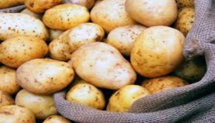 البطاطس للوقاية من سرطان المعدة
