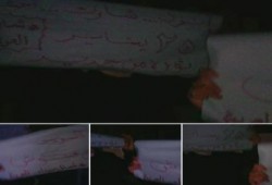 شمال سيناء: فراشة ليلية لشباب ضد الانقلاب بالعريش‏