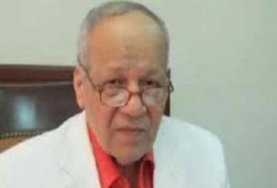 سليمان: كل الأطراف في اليمن تؤدي أدوارًا مرسومة