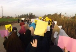 الشرقية:  ثوار فاقوس يختتمون أسبوع تقدموا للحرية والكرامة بمسيرة وسلاسل بشرية